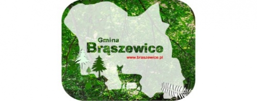 braszewice