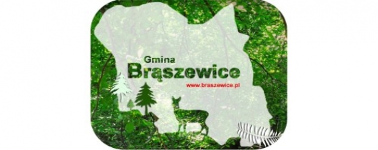 braszewice logo