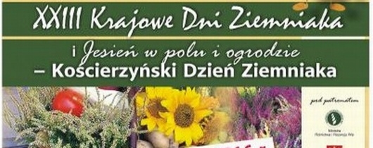 dni ziemniaka