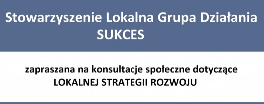 lgd sukces - konsultacje