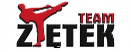 logo zietek team