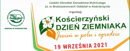 targi kościerzyn