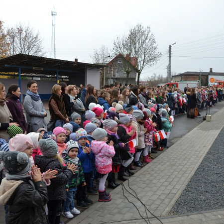 Wyświetl org. rozmiar