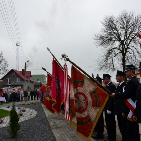 Wyświetl org. rozmiar