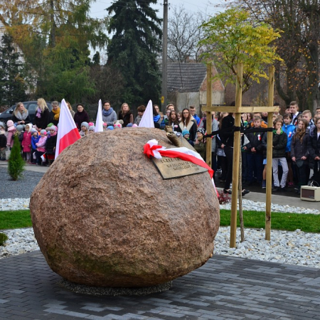 Wyświetl org. rozmiar