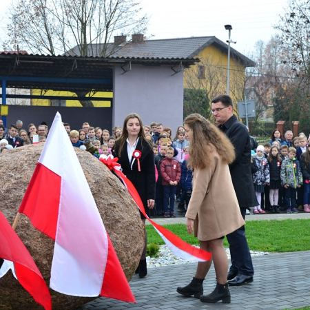 Wyświetl org. rozmiar