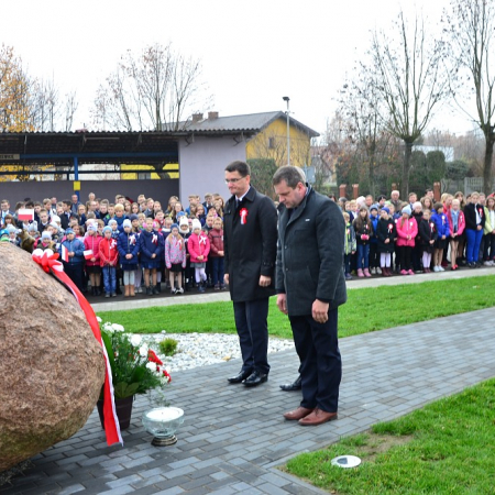 Wyświetl org. rozmiar