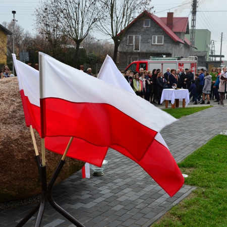 Wyświetl org. rozmiar