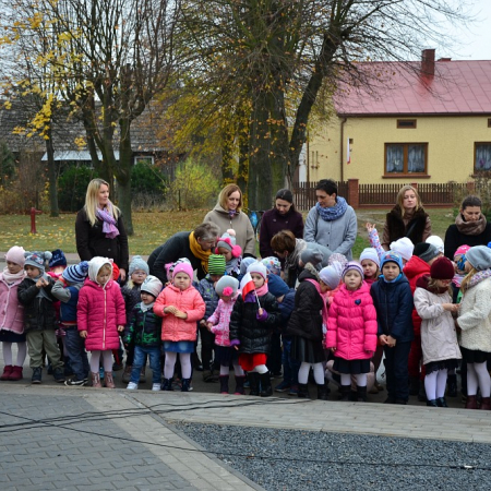 Wyświetl org. rozmiar