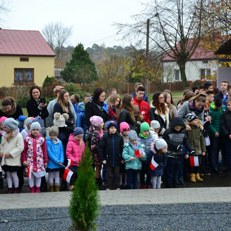 Wyświetl org. rozmiar