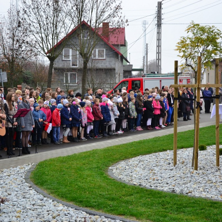 Wyświetl org. rozmiar