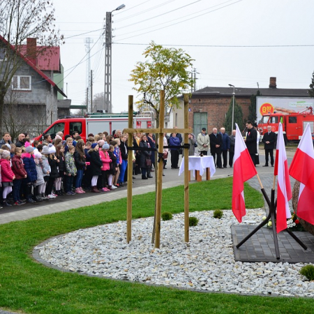 Wyświetl org. rozmiar