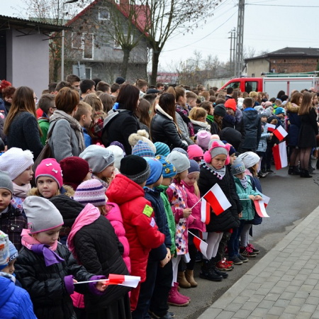 Wyświetl org. rozmiar