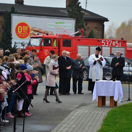 Wyświetl org. rozmiar