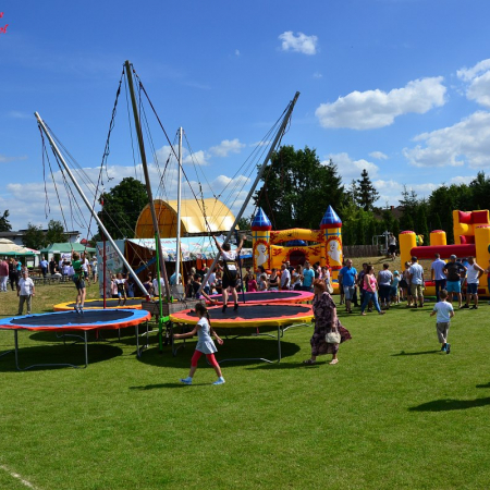 Wyświetl org. rozmiar