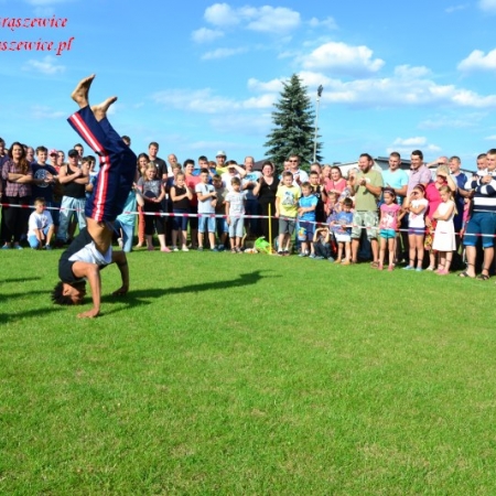 Wyświetl org. rozmiar