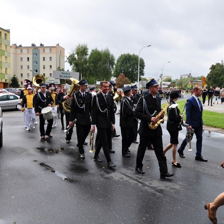 Wyświetl org. rozmiar