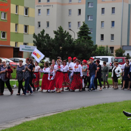 Wyświetl org. rozmiar