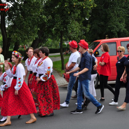 Wyświetl org. rozmiar