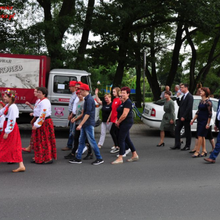 Wyświetl org. rozmiar