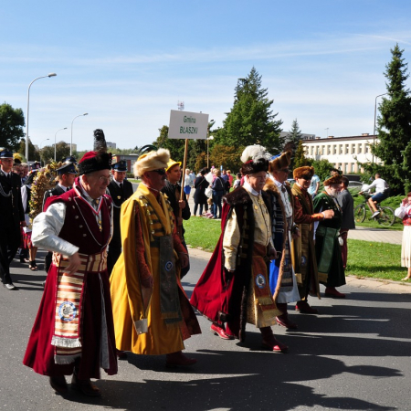 Wyświetl org. rozmiar