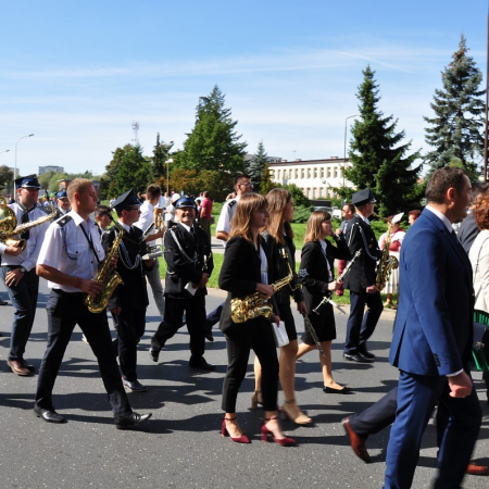 Wyświetl org. rozmiar