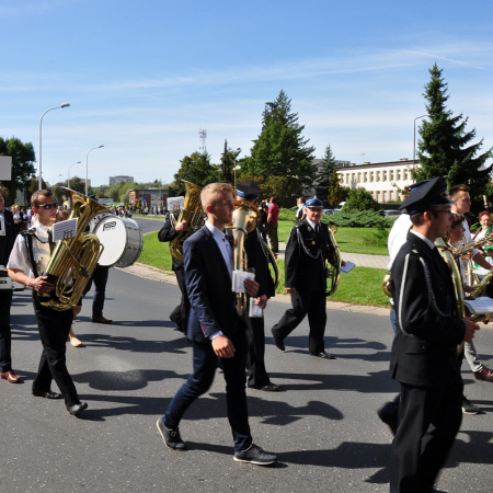 Wyświetl org. rozmiar