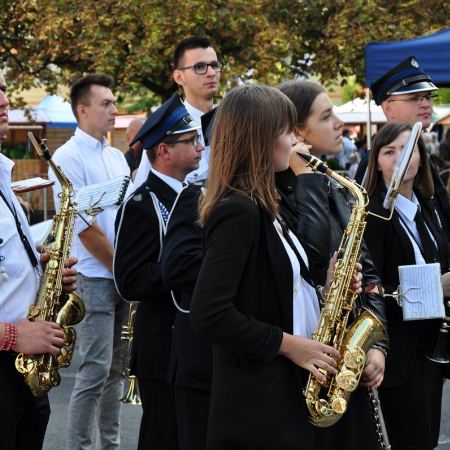 Wyświetl org. rozmiar