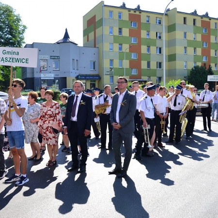 Wyświetl org. rozmiar