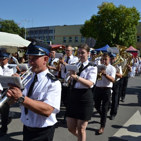 Wyświetl org. rozmiar