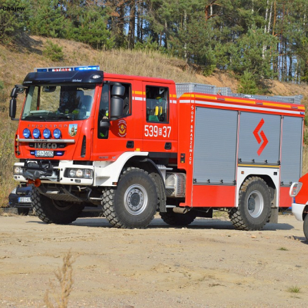 Wyświetl org. rozmiar