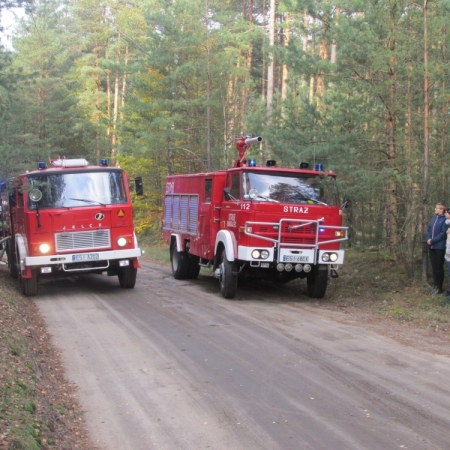 Wyświetl org. rozmiar