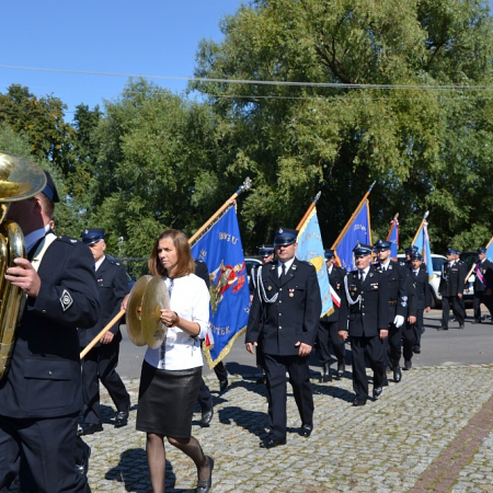 Wyświetl org. rozmiar