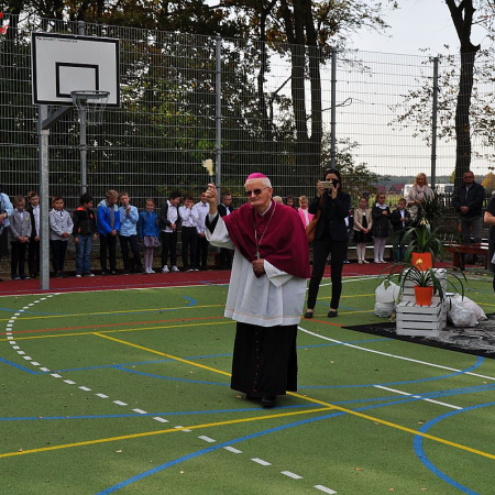 Wyświetl org. rozmiar