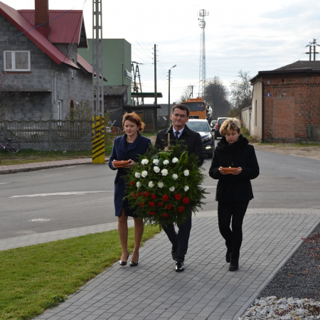 Wyświetl org. rozmiar