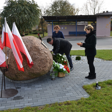 Wyświetl org. rozmiar