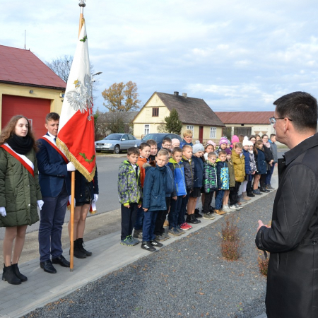 Wyświetl org. rozmiar