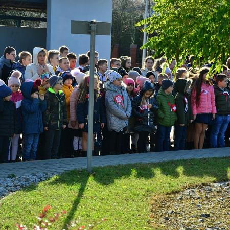 Wyświetl org. rozmiar