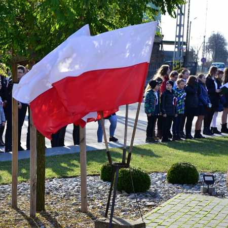 Wyświetl org. rozmiar