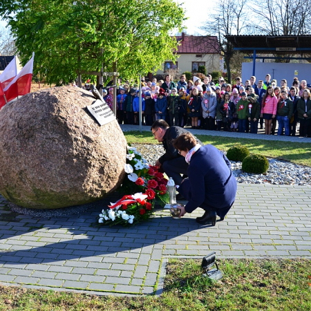 Wyświetl org. rozmiar