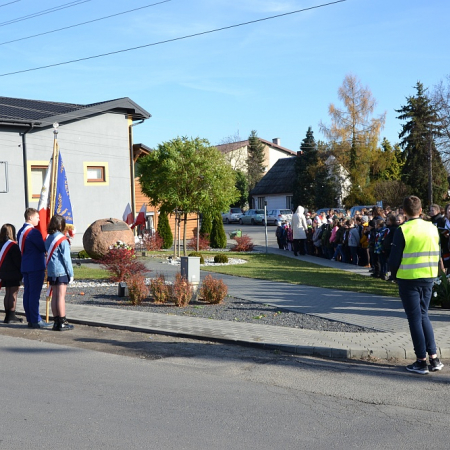 Wyświetl org. rozmiar