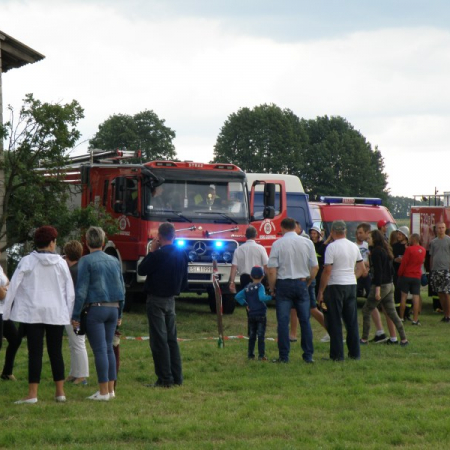 Wyświetl org. rozmiar