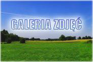 Galeria zdjęć